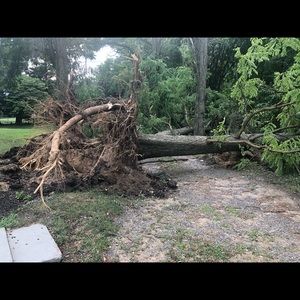 Meet your Posher, Terrance